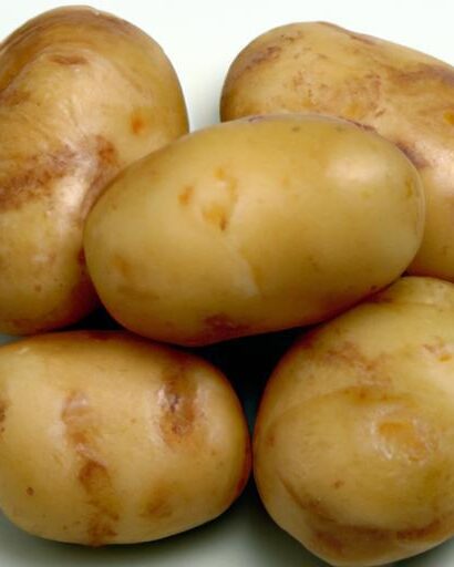 Perfectly Boiled Potatoes: Slice, Arrange, and Serve with Flair