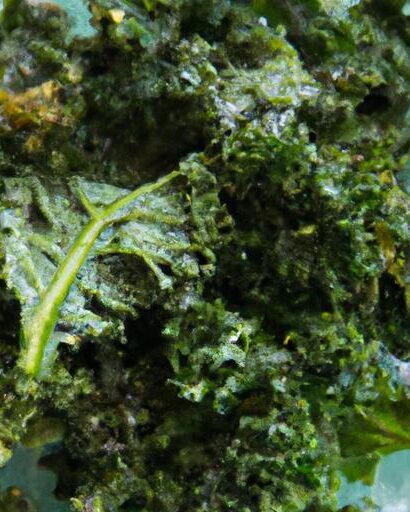 Crispy Kale Chips with Nutritional Yeast: A Savory Superfood Snack