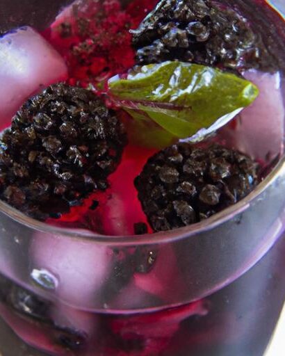 Refreshing Blackberry & Basil Sparkling Water: A Flavor Twist